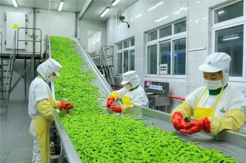 四問富民鄉村產業 精深加工如何拓展農產品增值空間