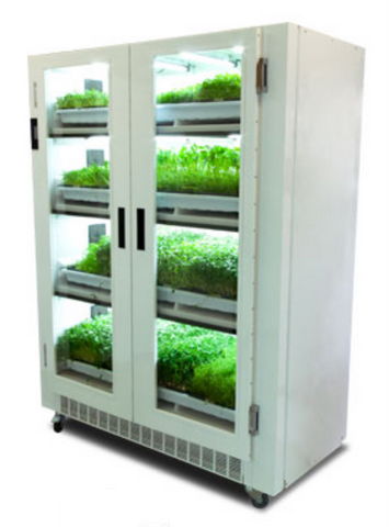 層架式無土栽培 開啟芽苗菜綠色培育新篇章